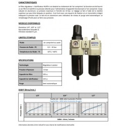 1/4\\\" 1730 - Filtre régulateur + lubrificateur NUFR+L
