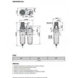 1/4\\\" 1730 - Filtre régulateur + lubrificateur NUFR+L