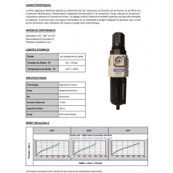 1/4\\\" 1731 - Filtre régulateur NUFR