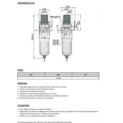 3/8\" 1731 - Filtre régulateur NUFR