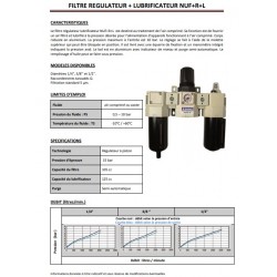 1/4\\\"	 1732 - Filtre + régulateur + lubrificateur NUF+R+L