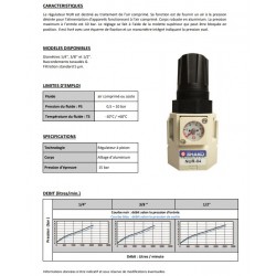 1/2\\\" 1733 - Régulateur de pression NUR