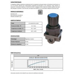 1/4\" 1762 - Régulateur R200