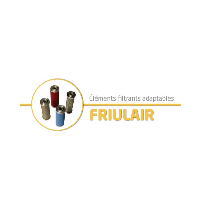 élément filtrant adaptable pour filtre air comprimé